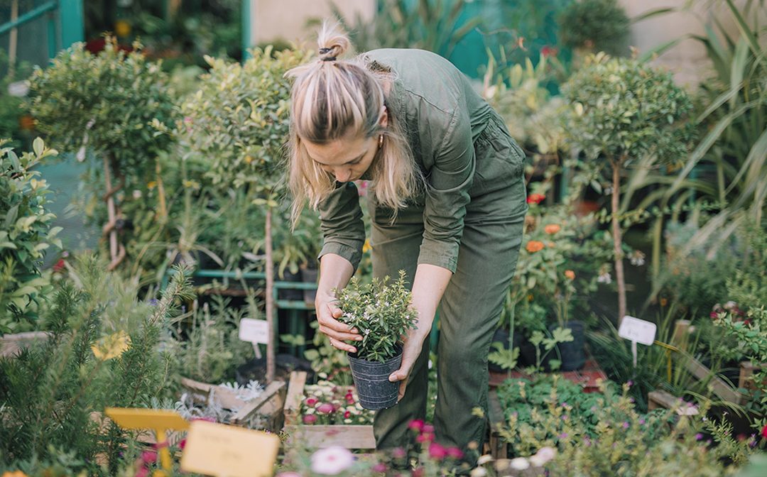 Ten Easy Steps to Create Your Own Organic Garden